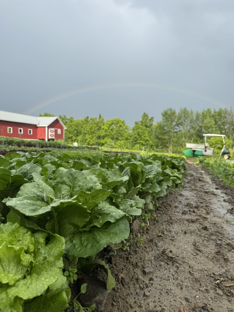 Pleasant Valley Farm distribution system