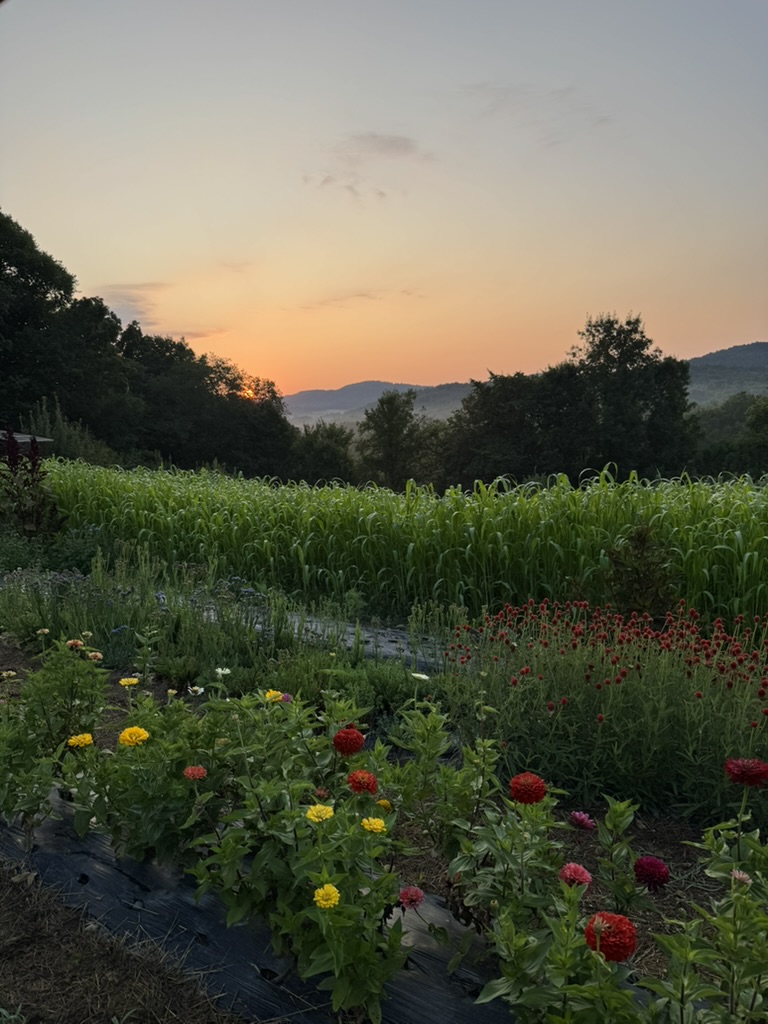 Herb garden